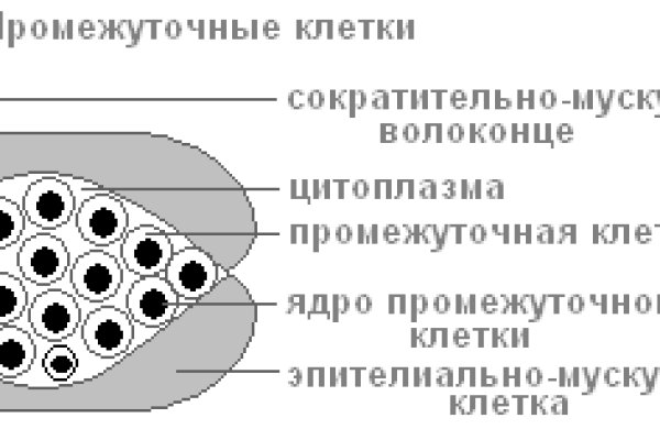 Кракен тор зеркало