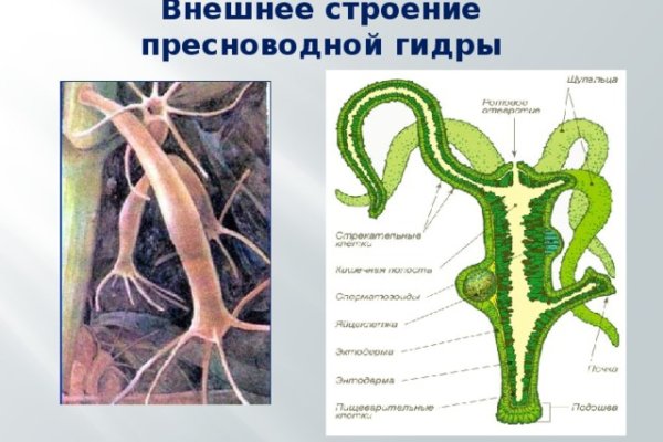 Как вернуть аккаунт на кракене