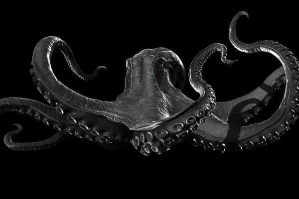 Kraken dark net